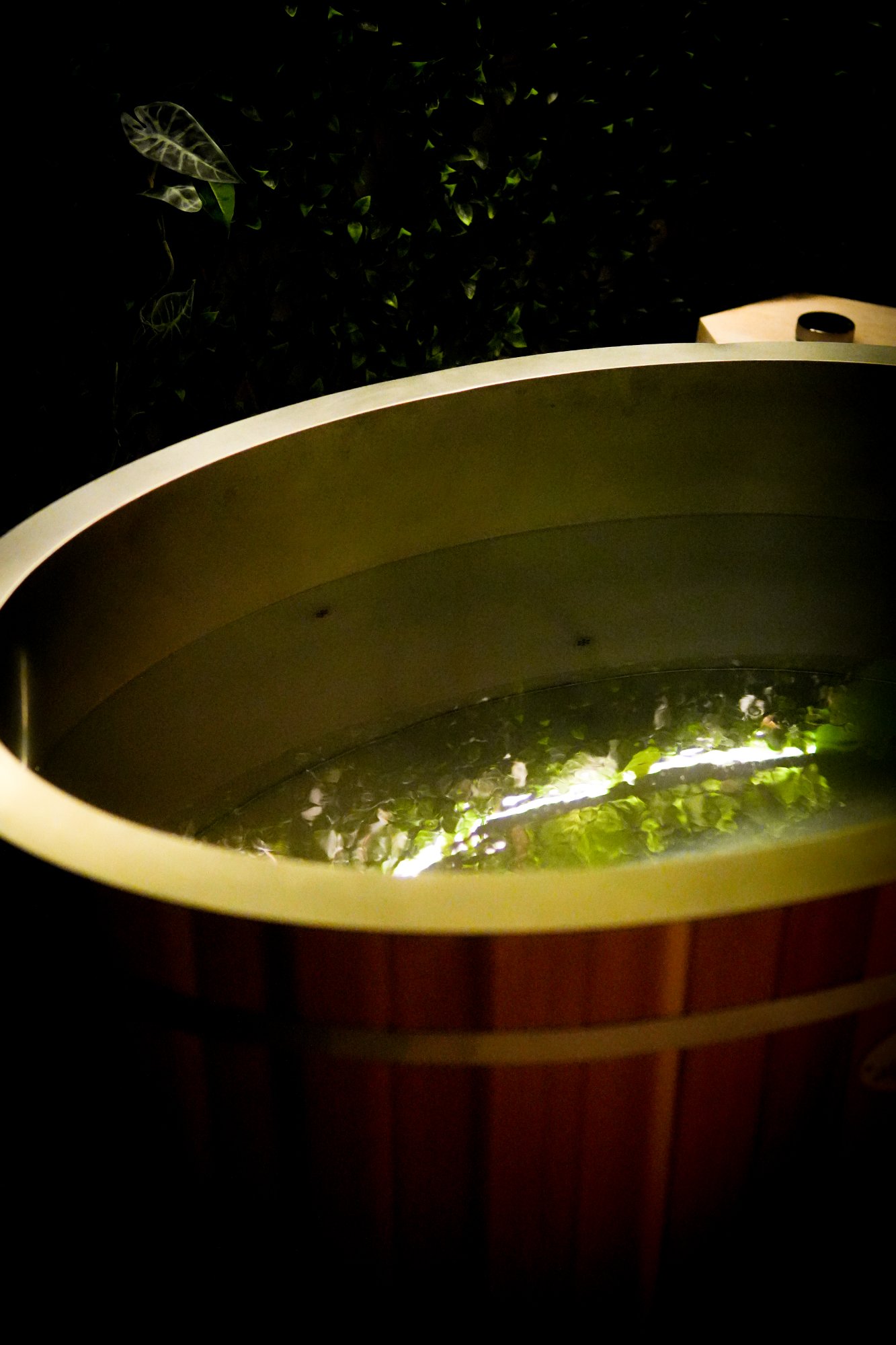 Cold plunge